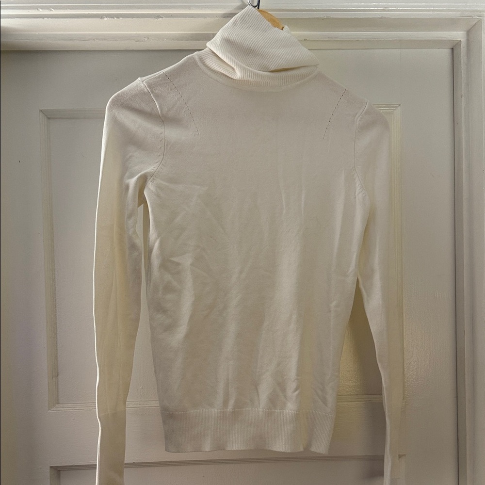 Chic Cream Turtleneck Sweater